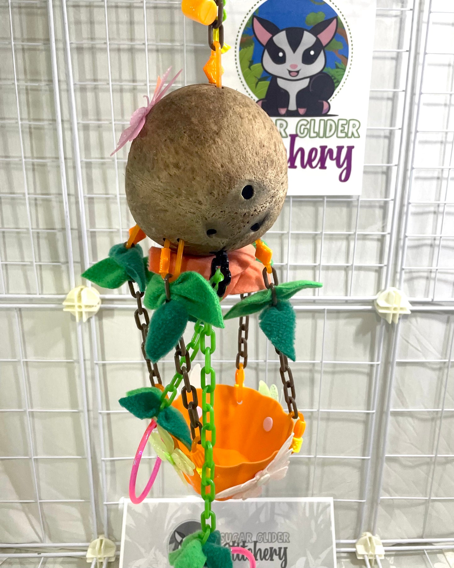 Coconut Glow Hot Air Balloon - Orange Bowl (Number 15)