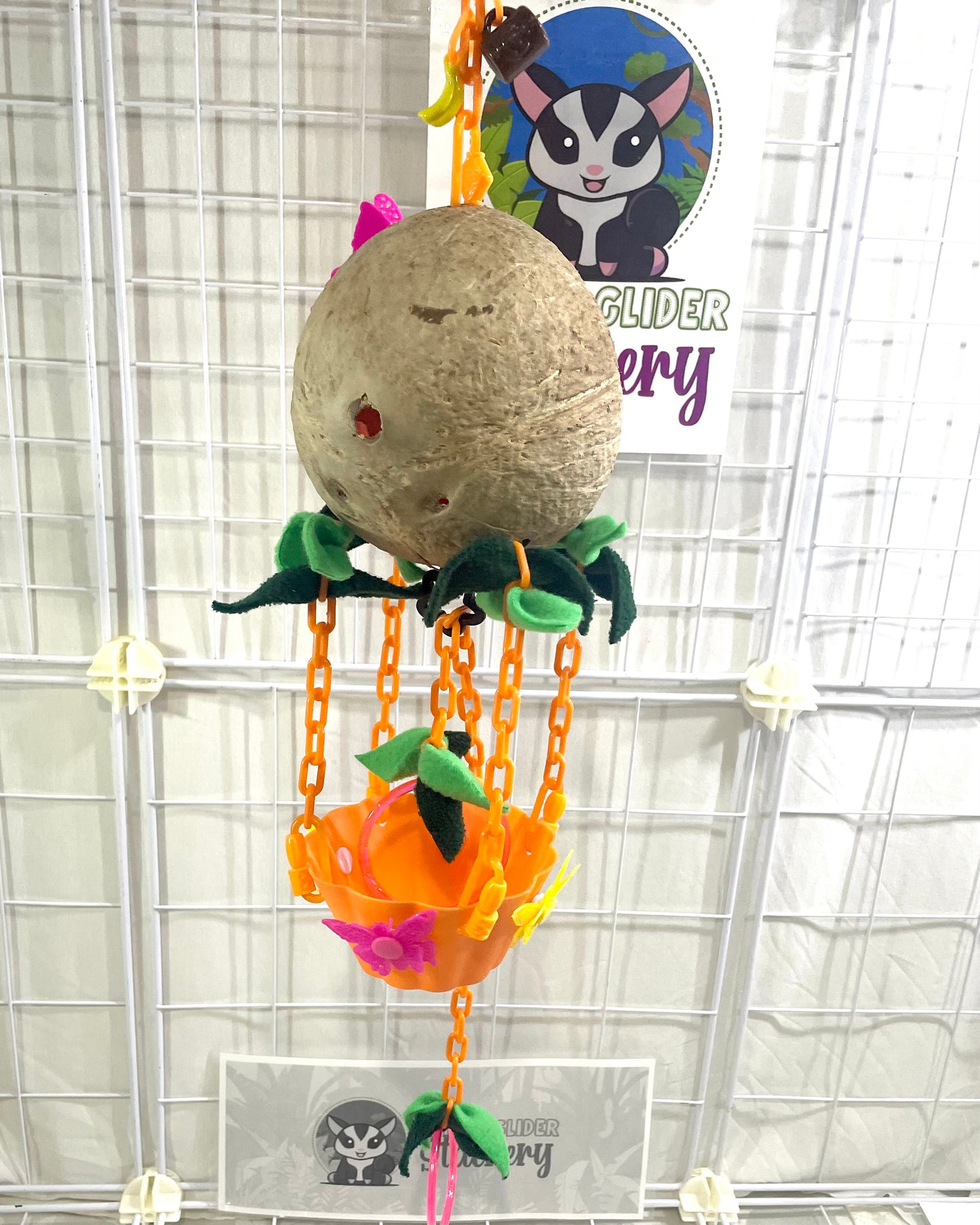 Coconut Hot Air Balloon - Orange Bowl (Number 1)