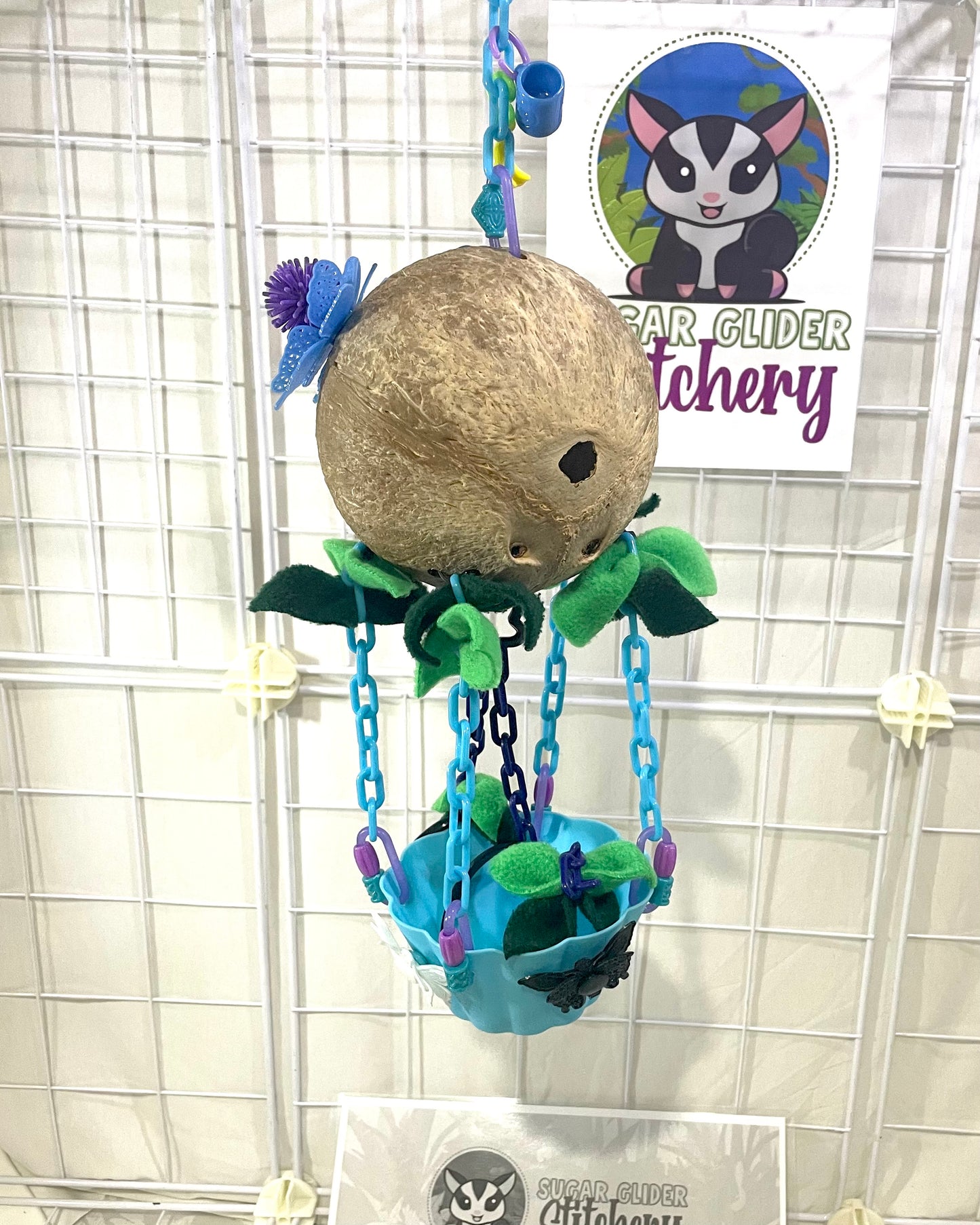 Coconut Hot Air Balloon - Blue Bowl (Number 5)