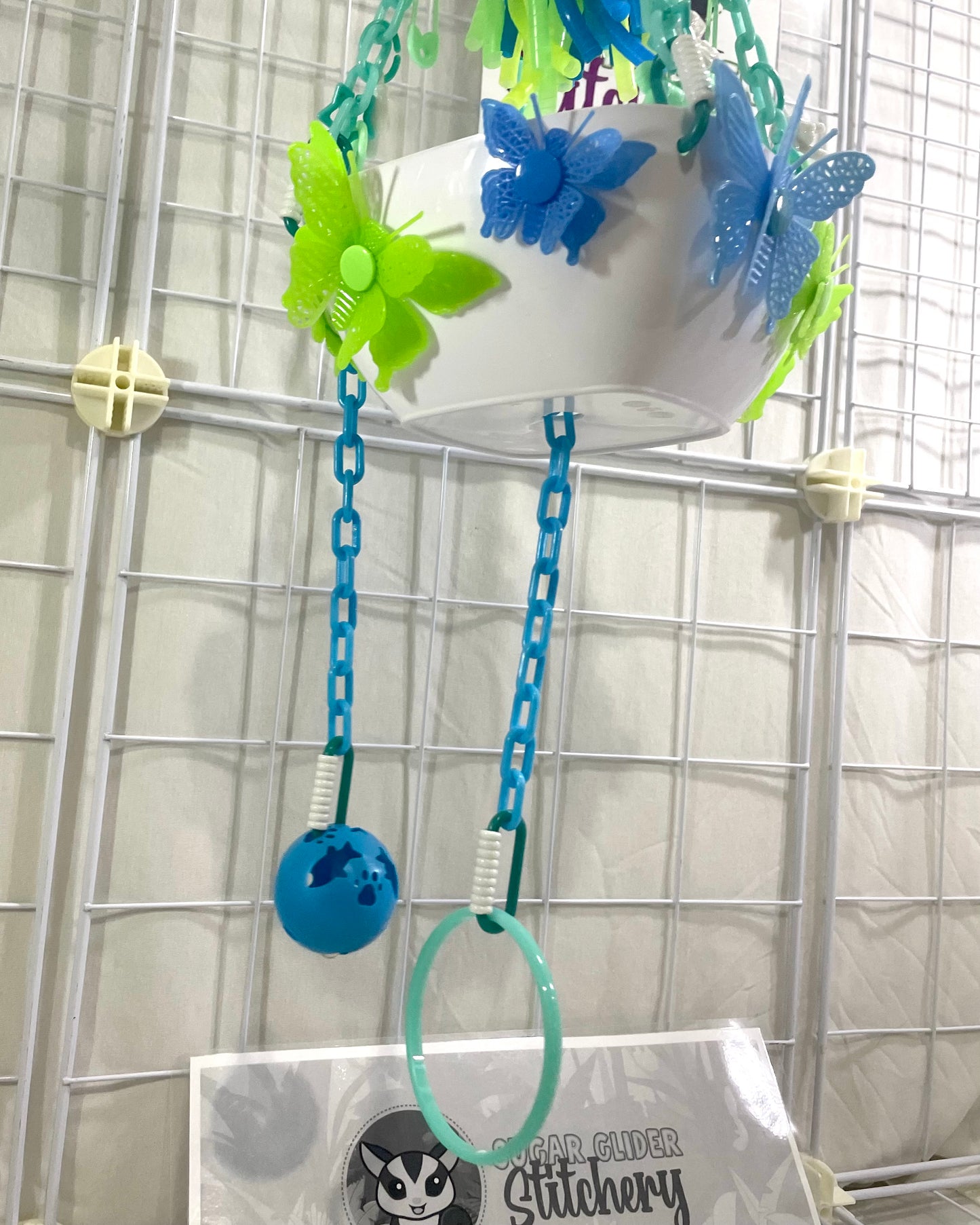 Butterfly Fun Bowls - White Bowl with Blue and Green
