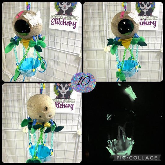 Coconut Glow Hot Air Balloon - Blue Bowl (Number 10)