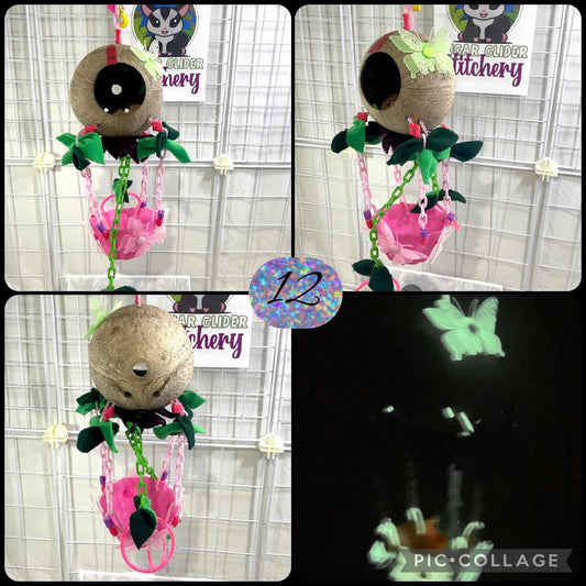 Coconut Glow Hot Air Balloon - Pink Bowl (Number 12)