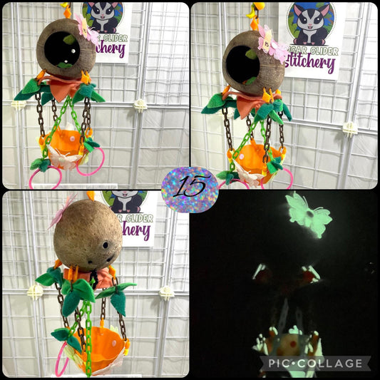 Coconut Glow Hot Air Balloon - Orange Bowl (Number 15)