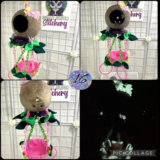 Coconut Glow Hot Air Balloon - Pink Bowl (Number 16)