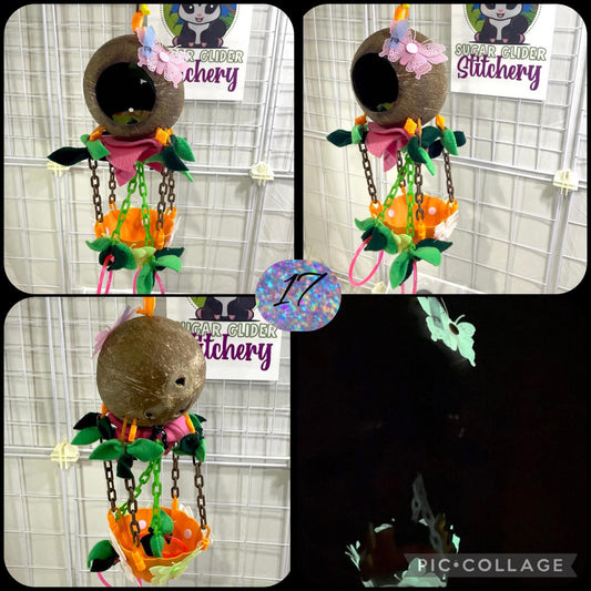 Coconut Glow Hot Air Balloon - Orange Bowl (Number 17)