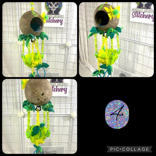 Coconut Hot Air Balloon - Green Bowl (Number 4)