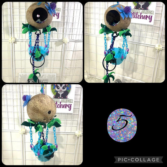 Coconut Hot Air Balloon - Blue Bowl (Number 5)