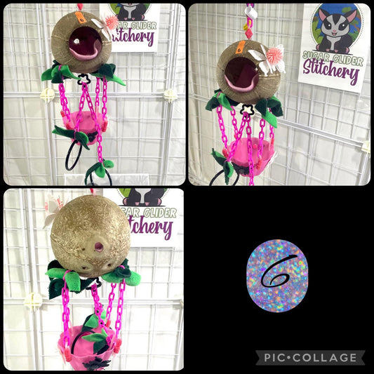 Coconut Hot Air Balloon - Pink Bowl (Number 6)