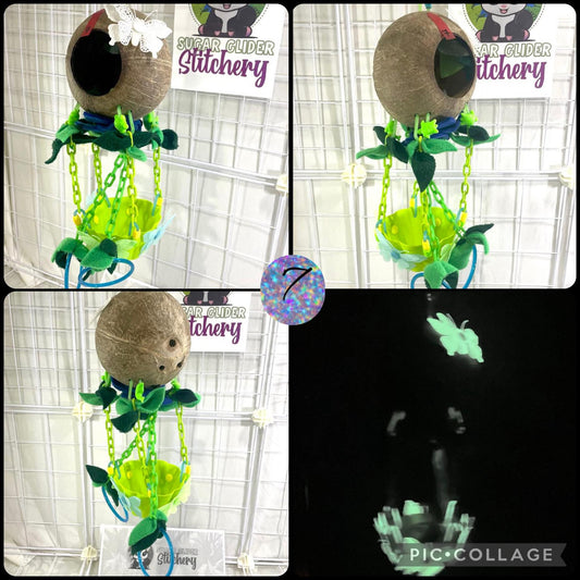 Coconut Glow Hot Air Balloon - Green Bowl (Number 7)