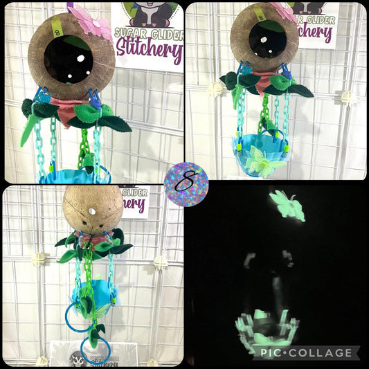 Coconut Glow Hot Air Balloon - Blue Bowl (Number 8)